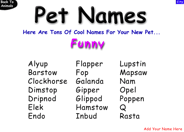 Funny Names For Pets Goldenacresdogs Com